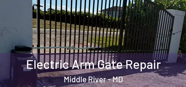  Electric Arm Gate Repair Middle River - MD