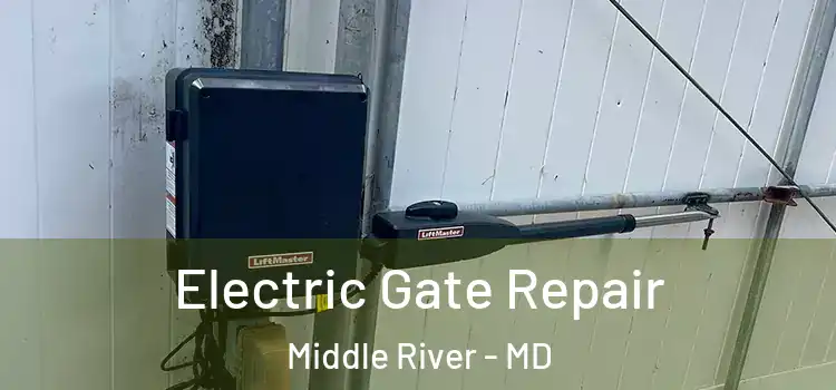  Electric Gate Repair Middle River - MD