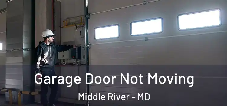  Garage Door Not Moving Middle River - MD