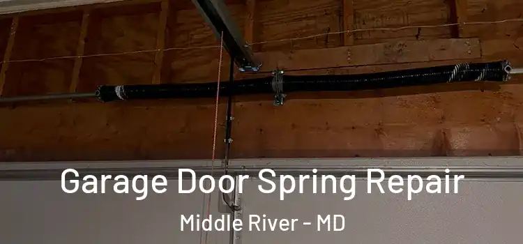  Garage Door Spring Repair Middle River - MD