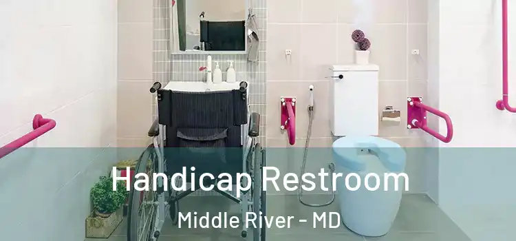  Handicap Restroom Middle River - MD