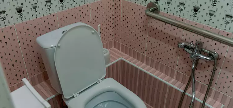 Meeting Diverse Needs With Accessible Restroom Solutions in Middle River, MD